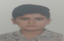 پارسا نجفی