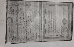 علی حسنی