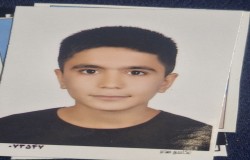 امیر محمد نیک نام دولق