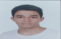 امیرحسین شمس الدین