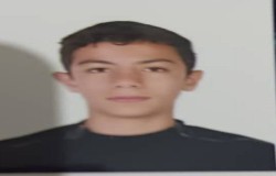 محمد حسام گل محمدی