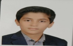 امیرحسین مشکین لفمجانی