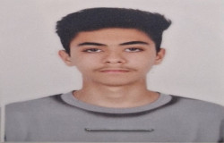 محمدحسام احمدی