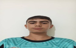محمدحسین محمودی
