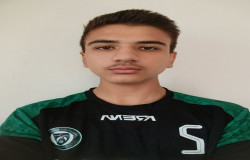 رادین نوروزی