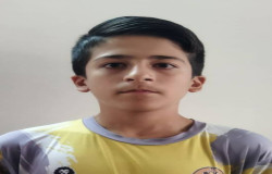 مهدی لطفی نژاداردلانی