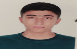 امیر حسین روهنده