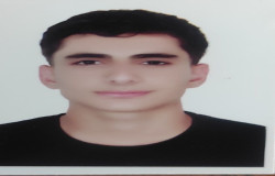 امیر محمد وفایی پور