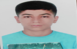 پیمان فائق پور
