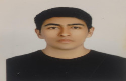 هادی نودهی