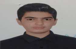 امیرعلی تیموری