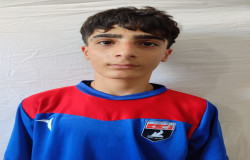 عرشیا کوهزادی هیکویی