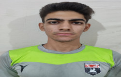 سینا قهرمان پور