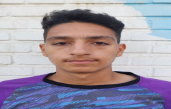 ماهان دیودل