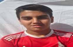 محمدسام نویزی