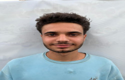 محمد حسام شیرزادی