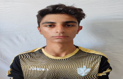 میکائیل نظری