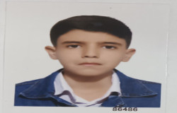 سینا فامرینی