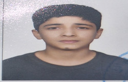 میر سینا میرصالحی ترکی