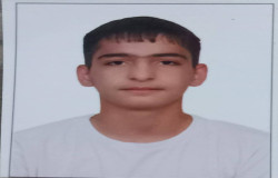 امیرحسین جاوید