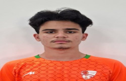 رادین محمودی توانا