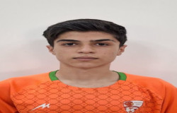 امیر محمد ارسنگ