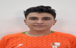 امیر علی جواهری