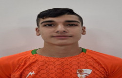 محمد علی جعفری