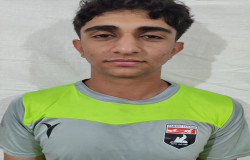 محمد مهدی دهفولی