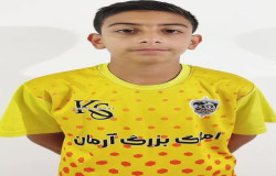 متین افضلی پور