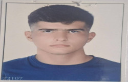 پارسا کلورزی