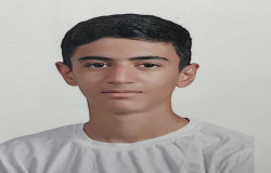 علیرضا قلی زاده