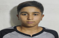 محمد مهدی سلطانلو