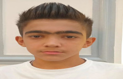 ابوالفضل ابراهیمی قالینقیه