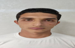 طاها عباسقلی زاده