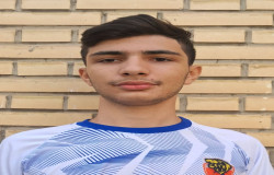 محمدجواد خلجی