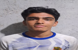 رضا ندویان بامری