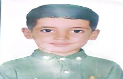 امیررضا حاجی بکلو