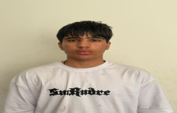 امیر رضا محسنی