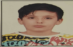 آریا مبارزی دانبرانی