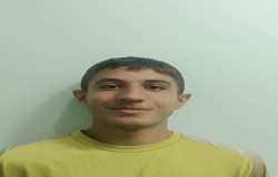 محمدمهدی شش پرلو