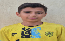 امیر علی امینی سلیکانی