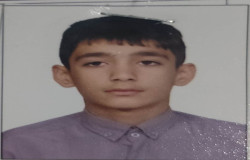 مهدی توحیدلو