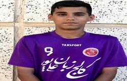 محمدرضا شمسی