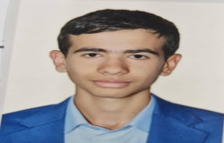 علی زارع شاهی