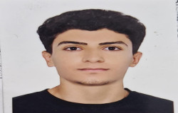 امیر علی انصاری