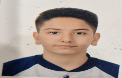 محمدمهدی بداغی