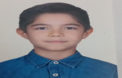 مهبد محمودزاده