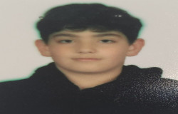 آریو براتی