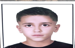 محمدتیام شیخی